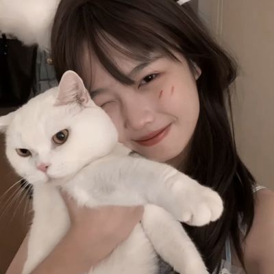 traintaxi官方版下载